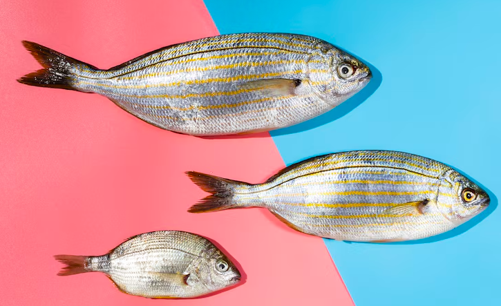The secret to success – market when the fish aren’t biting.